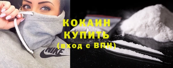 стафф Вязьма