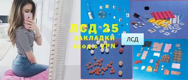 стафф Вязьма