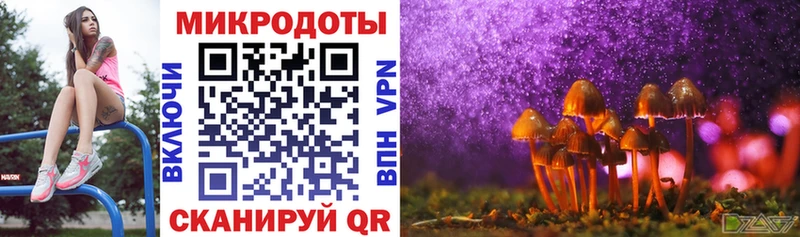 Галлюциногенные грибы GOLDEN TEACHER Новочебоксарск